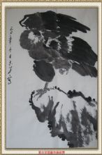 ۷